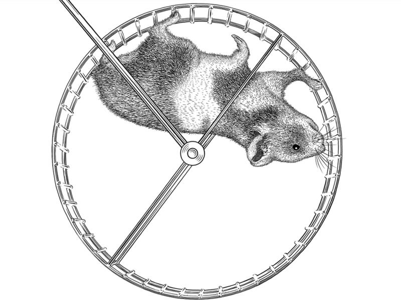 The teaser image, which is picture of a hamster on a wheel. Representative of what is to come.