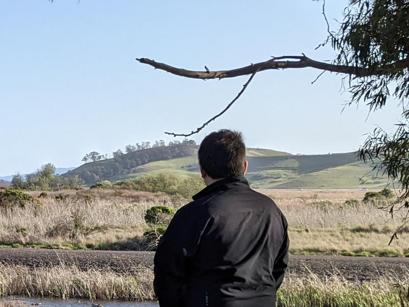 The teaser image and main page's banner image, me looking towards Coyote Hills Regional Park in Fremont, California.